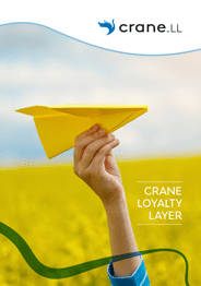 Download Loyalty Layer Brochure
